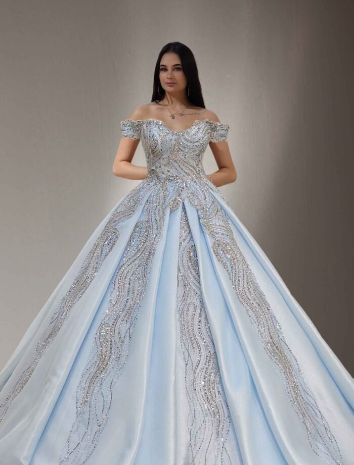 Embroidered lace ball gown baby blue
