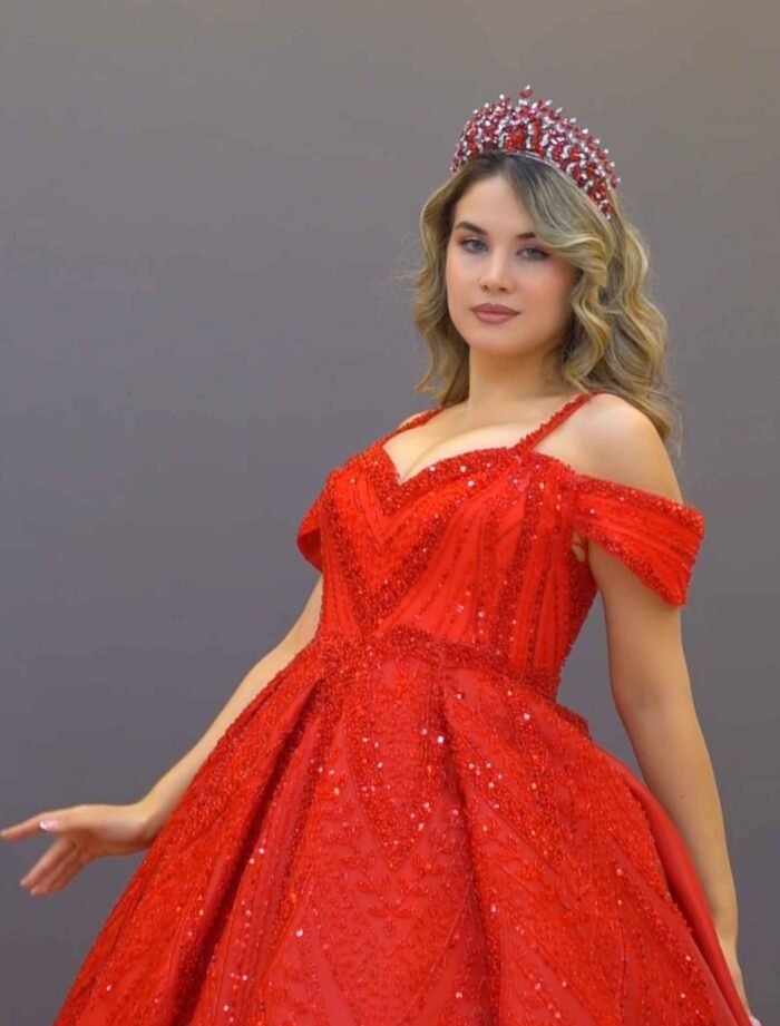 Red  Embroidered Ball Gown
